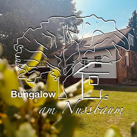 Bungalow Am Nussbaum Olbersdorf Luaran gambar