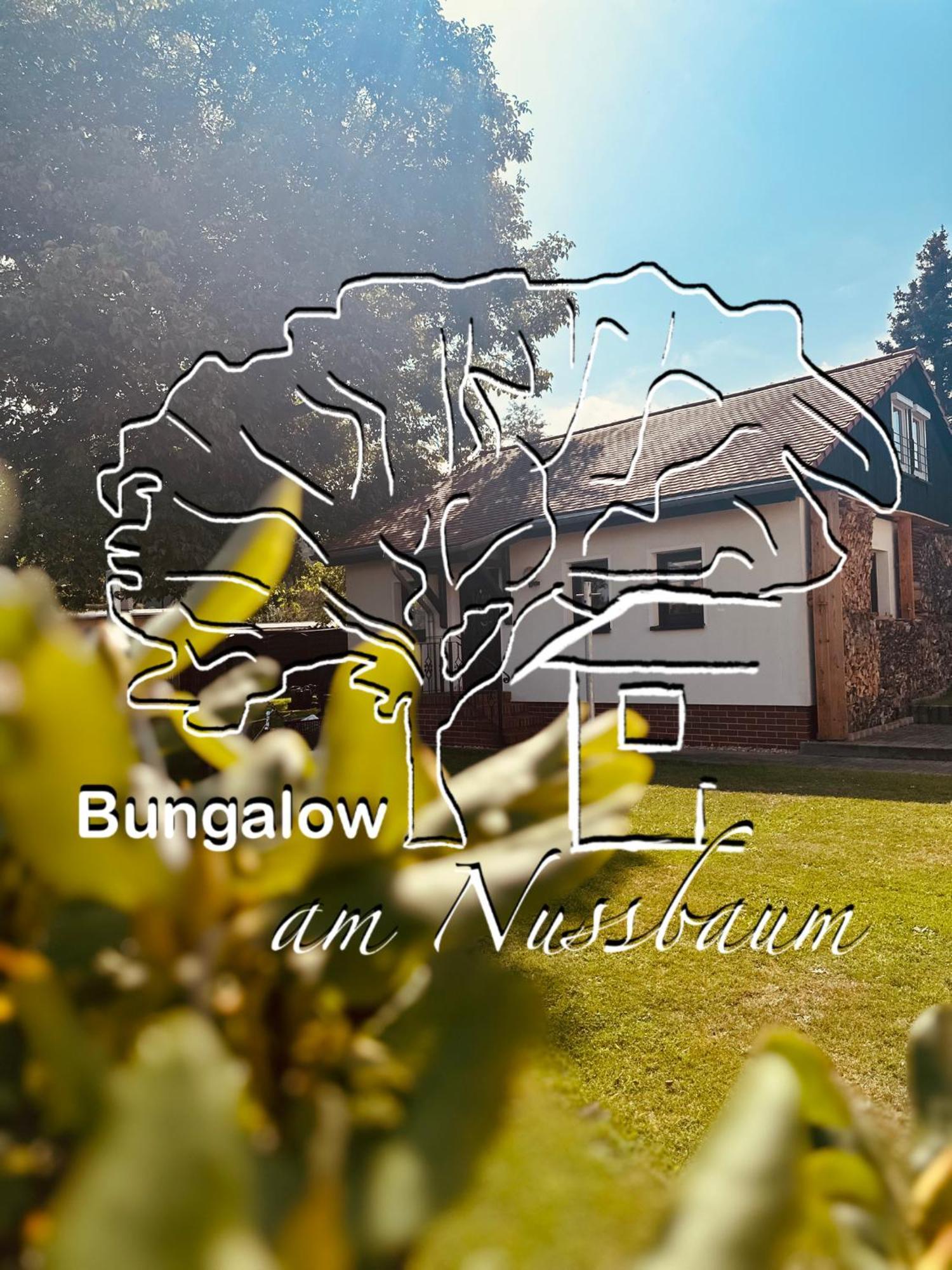 Bungalow Am Nussbaum Olbersdorf Luaran gambar